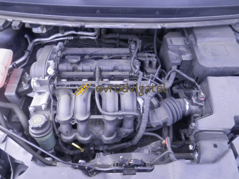 Двигатель форда фокуса хэтчбек. Двигатель Форд фокус 2 HXDA. Мотор Форд фокус 2 1.6. Форд фокус 2 хэтчбек двигатель. Ford Focus 1.6ti II.